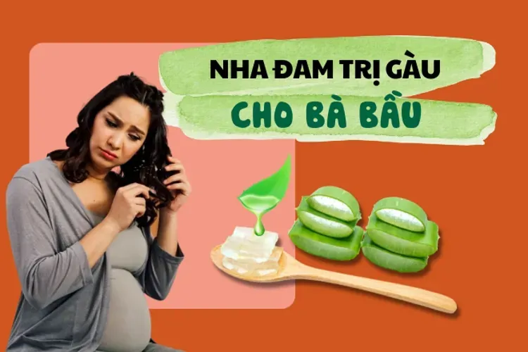 Top 10 dầu gội trị gàu cho bà bầu hiệu quả an toàn nhất