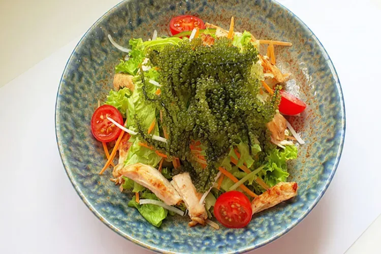 Top 4 món salad rong nho giàu dinh dưỡng tốt cho sức khỏe