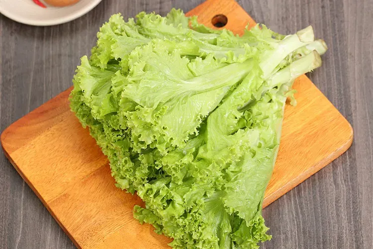 Top 9 loại rau salad trộn được mệnh danh là “siêu thực phẩm” luôn được ưu tiên lựa chọn