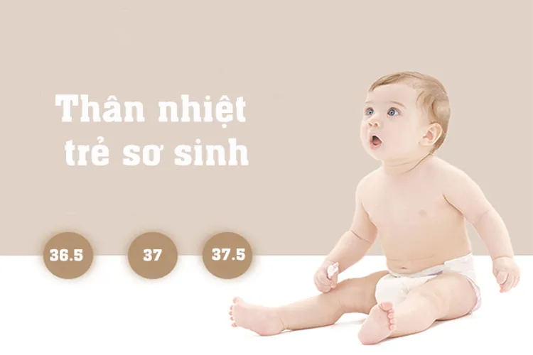 Trẻ sơ sinh nằm điều hòa nhiều có tốt không và những lưu ý quan trọng mẹ nên biết